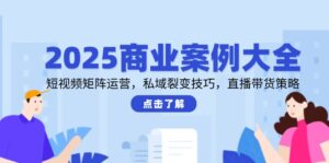 2025商业案例大全,短视频矩阵运营,私域裂变技巧,直播带货策略-川川创富网