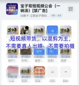 宝子哥头部团队短视频带货,以混剪为主,不需要真人出镜,不需要拍摄【更新】-川川创富网