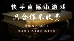 快手直播小游戏，只合作不收费，你出账号我出技术， 分润模式【揭秘】-川川创富网