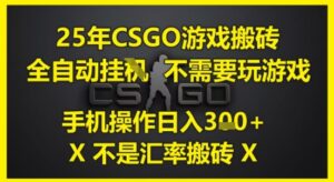 25年CSGO游戏搬砖,全自动运行,不需要玩游戏,手机操作日入3张(不是汇率搬砖)【揭秘】-川川创富网