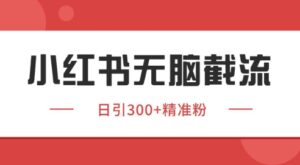 小红书截流同行客源，独家野路子获客玩法 日引200+暴力获客【揭秘】-川川创富网