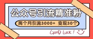 公众号精准粉引流玩法 2个月3000+精准粉 变现30万+-川川创富网