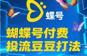 2025蝴蝶号付费投流豆豆打法,助新手快速掌握付费流量撬动自然流的核心玩法-川川创富网