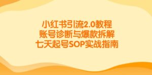 小红书引流2.0教程,账号诊断与爆款拆解,七天起号SOP实战指南-川川创富网
