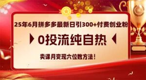 25年6月拼多多最新日引300+付费创业粉,0投流纯自热 卖课月变现六位数方法-川川创富网