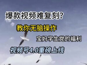 视频号4.0重磅上线，爆款视频难复刻？教你无脑操作宝妈学生党的福利【揭秘】-川川创富网
