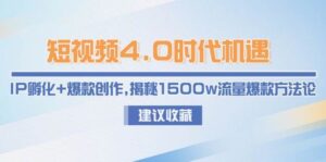 短视频4.0时代机遇：IP孵化+爆款创作，揭秘1500w流量爆款方法论-川川创富网