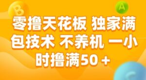 零撸天花板，独家满包技术 不养机 一小时撸满50+【揭秘】-川川创富网
