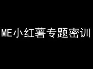 ME小红薯专题密训-小红书电商教程-川川创富网