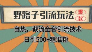 2024首发野路子引流玩法截流自热全平台打法,全自动引流【日引2000+精准客户】-川川创富网