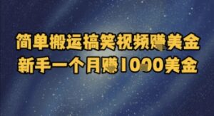 简单搬运搞笑视频挣美金，新手一个月入1k美金-川川创富网