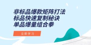 非标品爆款矩阵打法,标品快速复制秘诀,单品爆量组合拳-川川创富网
