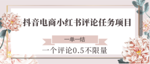 抖音电商小红书评论任务项目,一个评论0.5,一单一结 不限量-川川创富网