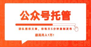【公众号托管 】我提供文章,你每天5分钟复制发布,最高月入1W-川川创富网