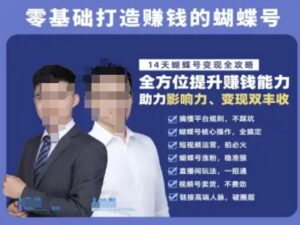 蝴蝶号专栏-视频号运营教程,零基础打造挣钱的蝴蝶号,14天蝴蝶号变现全攻略-川川创富网