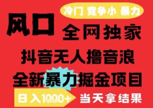 25年6月高爆抖音无人直播最新撸音浪掘金项目，解放双手小白可做，无脑日入1k+，门槛低【揭秘】-川川创富网