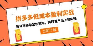 拼多多低成本盈利实战,类目选择与定价策略,高权重产品上架实操-川川创富网