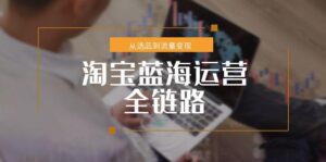 淘宝蓝海运营全链路,从选品到流量变现,小类目突围完整方案-川川创富网