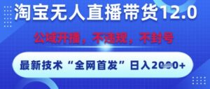 淘宝无人直播带货12.0,最新技术,不封号,不违规,操作简单,开播爆单,日入多张【揭秘】-川川创富网