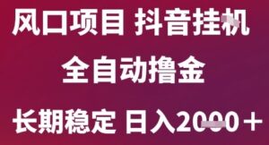 风口项目,六月最新玩法抖音无人挂G,全自动撸金,长期稳定 日入2k+【揭秘】-川川创富网
