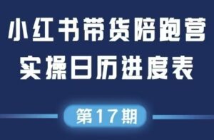 盗坤·抖音小红书视频号短视频带货与直播变现(11-17期)-川川创富网