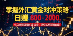 掌握外汇黄金对冲策略，日赚 800 – 2000，小众高回报创业机会，助你实…-川川创富网