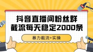 抖音直播间粉丝群截流,稳定采集数据全行业通用 2000+数据一天-川川创富网