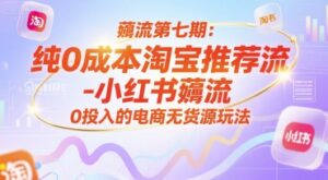 薅流第七期:纯0成本淘宝推荐流-小红书薅流最新版目,0投入的电商无货源玩法(附赠往期)-川川创富网