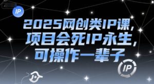 2025网创类IP课,项目会死IP永生,可操作一辈子-川川创富网