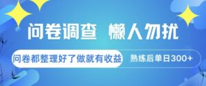 问卷调查，懒人勿扰，问卷都整理好了单价不等，做就有收益，熟练后单日3张【揭秘】-川川创富网