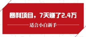 最新暴利项目,每单收益轻松在300以上,7天赚了2.4万-川川创富网