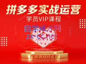 推易电商·拼多多实战运营课(更新2025月)-川川创富网