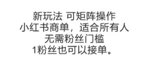 可矩阵操作,小红书商单新玩法,适合所有人,无需粉丝门槛,1粉丝也可以接单-川川创富网