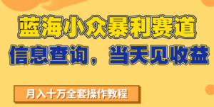 蓝海小众暴利赛道，信息查询，当天见收益，不讲玄学，7天搞了2万+-川川创富网
