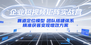 企业短视频矩阵实战营：赛道定位模型+团队搭建体系+精准获客变现增效方案-川川创富网