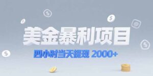 美金暴利项目,四小时当天提现 2000+机会留给会选赛道的人-川川创富网
