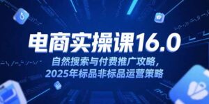 淘宝电商运营课16.0,自然搜索与付费推广攻略,2025年标品非标品运营策略-川川创富网