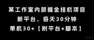 某工作室内部掘金挂G项目，新平台，每天30分钟，单机30+【揭秘】-川川创富网