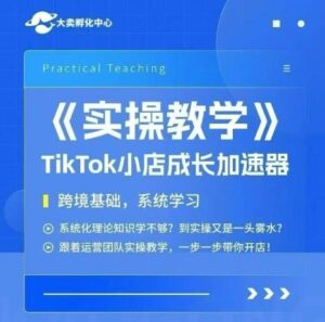 大卖家孵化中心TikTok实操课,TikTok小店成长加速器,跨境基础系统学习,一步一步带你开店-川川创富网