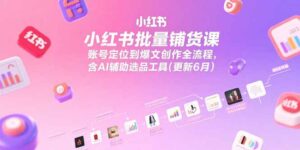 小红书批量铺货课，账号定位到爆文创作全流程，含AI辅助选品工具(更新6月-川川创富网