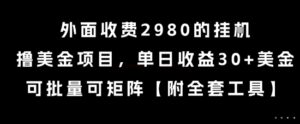 外面收费2980的挂G撸美金项目，单日收益30+美金，可批量可矩阵【揭秘】-川川创富网