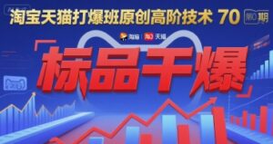 淘宝天猫打爆班原创高阶技术第70期:标品干爆-川川创富网