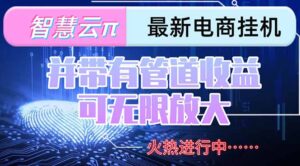 智慧云π电脑挂机单机每天收益300—500+ 并带有团队管道收益 可无限放大-川川创富网