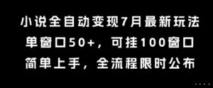 小说全自动变现7月玩法，单窗口50+，可挂100窗口，简单上手，全流程限时公布【揭秘】-川川创富网