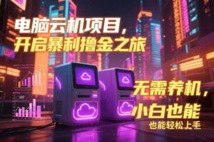 电脑云机项目 暴力撸金玩法，不需要养机 配置没有要求 单机100个窗口一…-川川创富网
