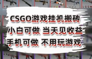 CSGO游戏挂G搬砖，小白纯手机即可操作，不用电脑打游戏，日入3张+，副业网创项目【揭秘】-川川创富网