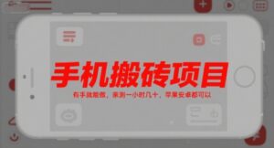 手机搬砖项目,有手就能做,亲测一小时几十,苹果安卓都可以-川川创富网