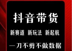 抖音短视频一刀不剪带货,不剪辑,不直播,每天发个视频,等着出单获取带货佣金-川川创富网