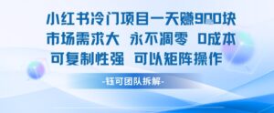 小红书冷门项目一天收益9张，市场需求大，0成本，可复制性强可以矩阵操作-川川创富网