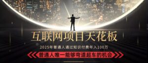 2025“互联网项目天花板”:不做韭菜,做镰刀!“月入 10W+ 普通人弯道…-川川创富网